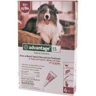 F.c.e. Inc D - Advantage 2 Dog Red