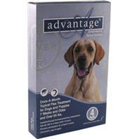 F.c.e. Inc D - Advantage 2 Dog Blue