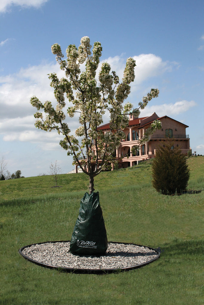 Dewitt Company P - Dew Right Tree Watering Bag