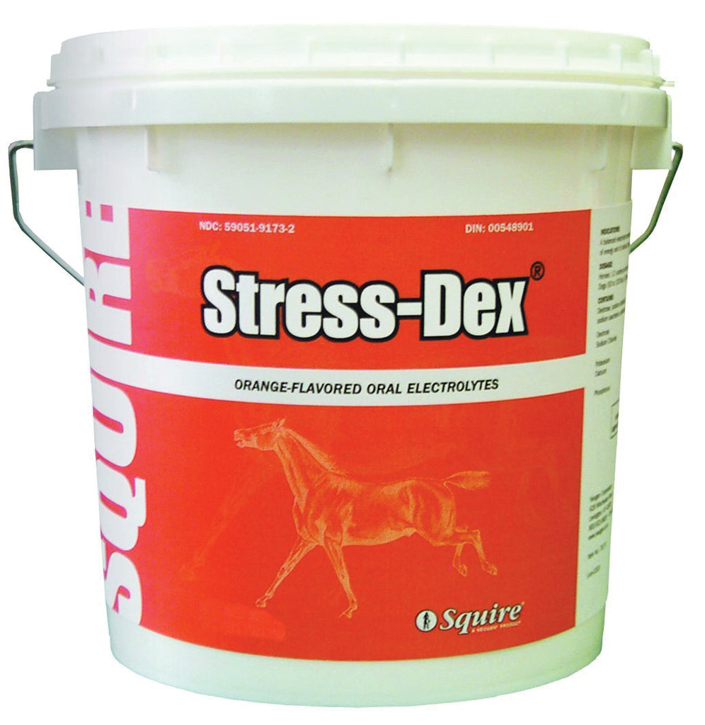 Neogen Squire D - Squire Stress-dex Oral Electrolyte For Horses