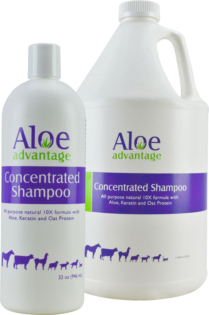 Durvet/equine D - Aloe Advantage Concentrated Shampoo 8:1