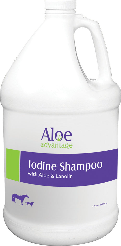 Durvet/equine D - Aloe Advantage Iodine Shampoo
