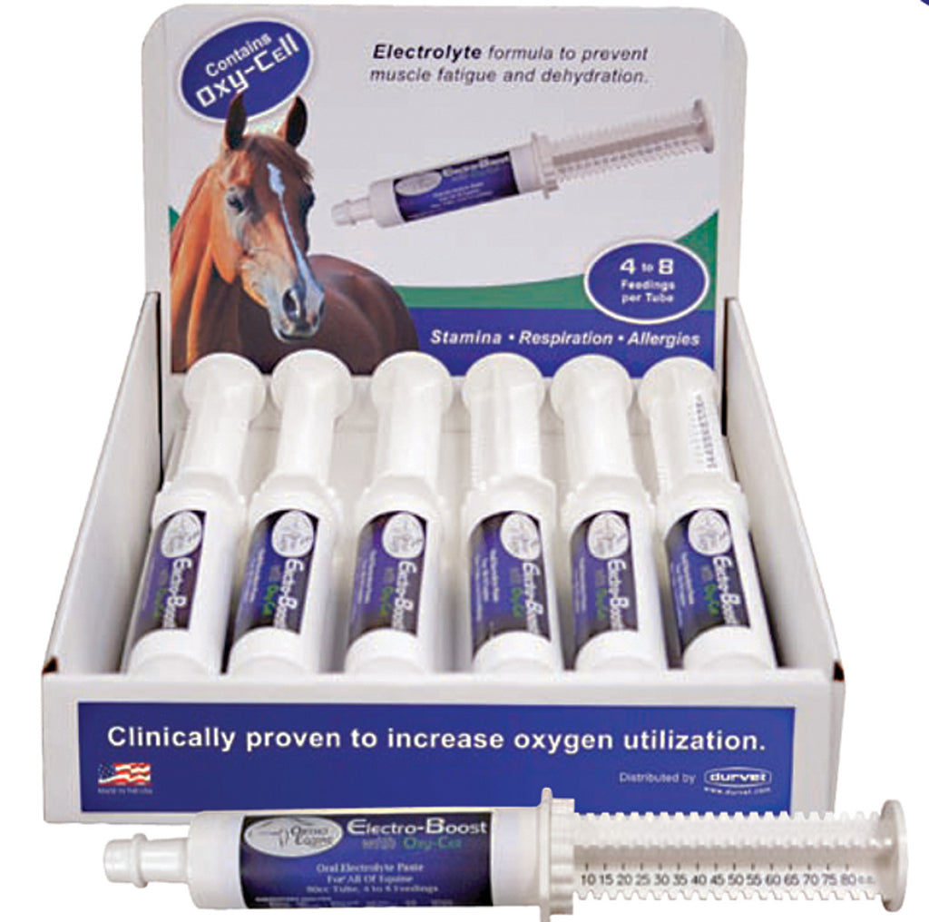 Durvet/equine D - Electro-boost Horse Paste