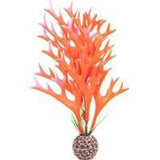 Aquatop Aquatic Supplies - Staghorn Aquarium Plant