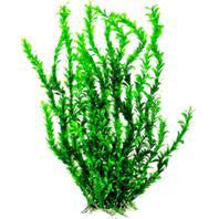 Aquatop Aquatic Supplies - Bushy Aquarium Plant With Weighted Base