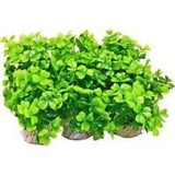 Aquatop Aquatic Supplies - Plant Power Pack