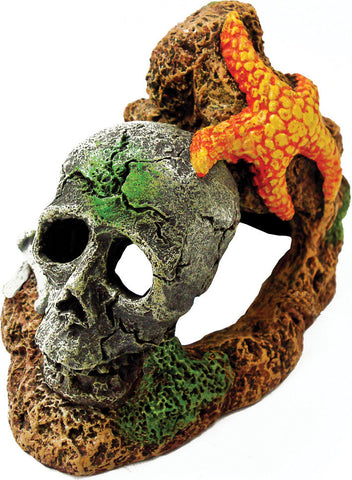 Blue Ribbon Pet Products-Exotic Environments Skull With Starfish