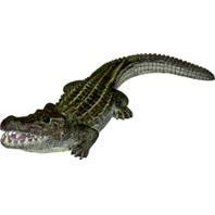 Blue Ribbon Pet Products - Exotic Environments Bubbling Alligator