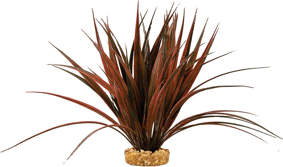 Blue Ribbon Pet Products - Colorburst Florals Mini Sword Plant