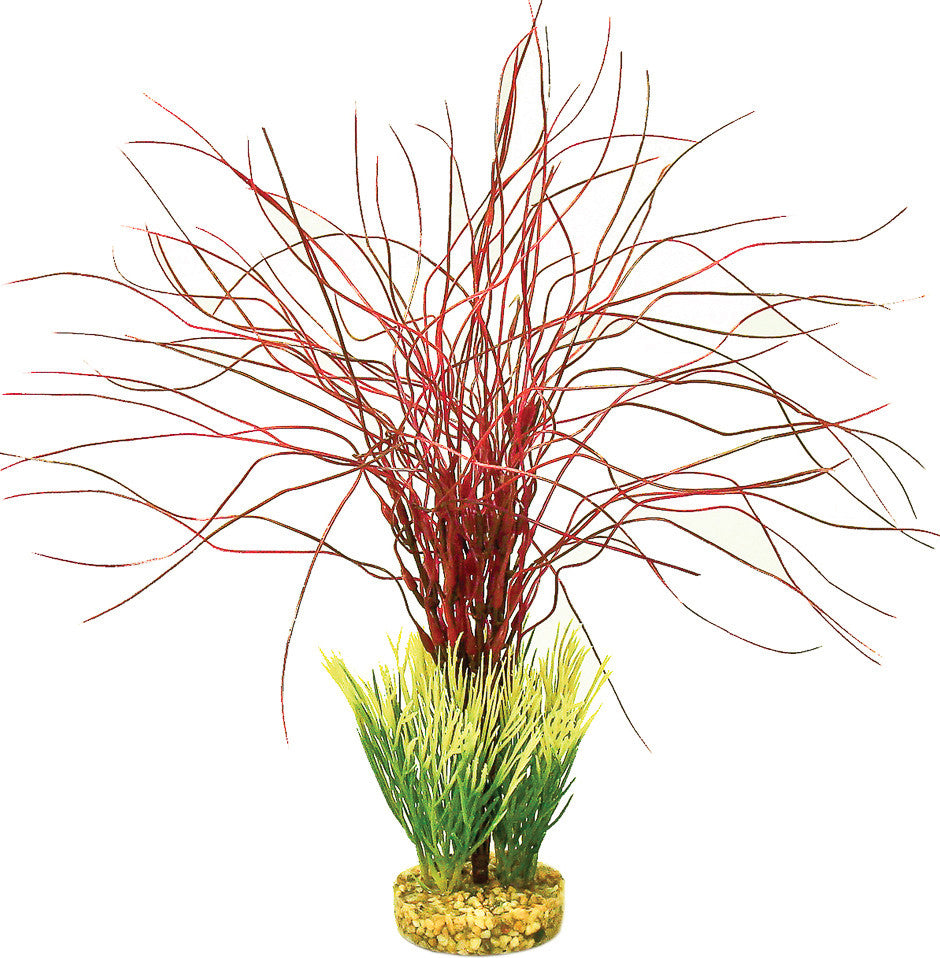 Blue Ribbon Pet Products - Colorburst Florals Java Water Grass