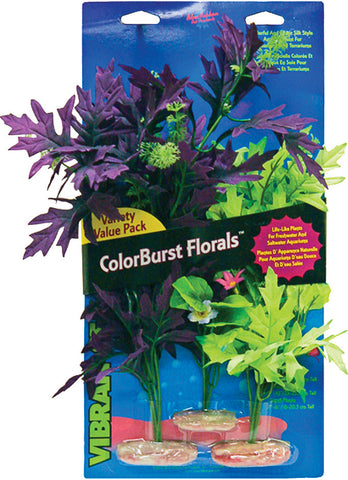 Blue Ribbon Pet Products - Colorburst Florals Amazon Broad Leaf Cluster