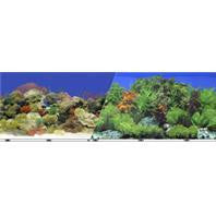 Blue Ribbon Pet Products - Double-sided Garden/carribbean Coral Background