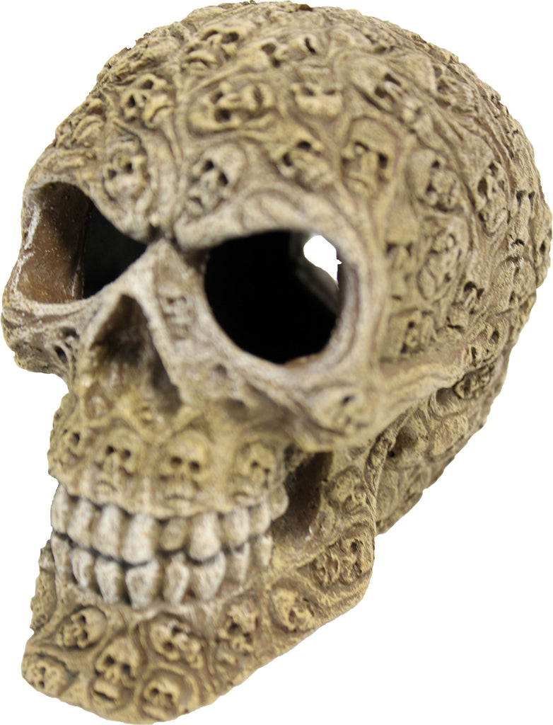 Blue Ribbon Pet Products - Exotic Environments Haunted Skull