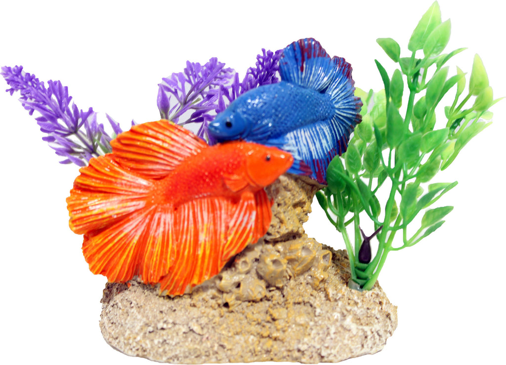 Blue Ribbon Pet Products - Exotic Environments Aquatic Scene With Bettas