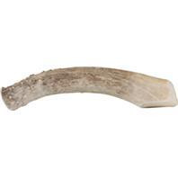 Best Buy Bones - Nature's Own Naturally Shed Monster Elk Antler