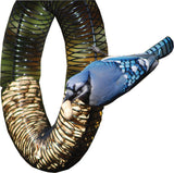 Songbird Essentials - Whole Peanut Wreath Feeder