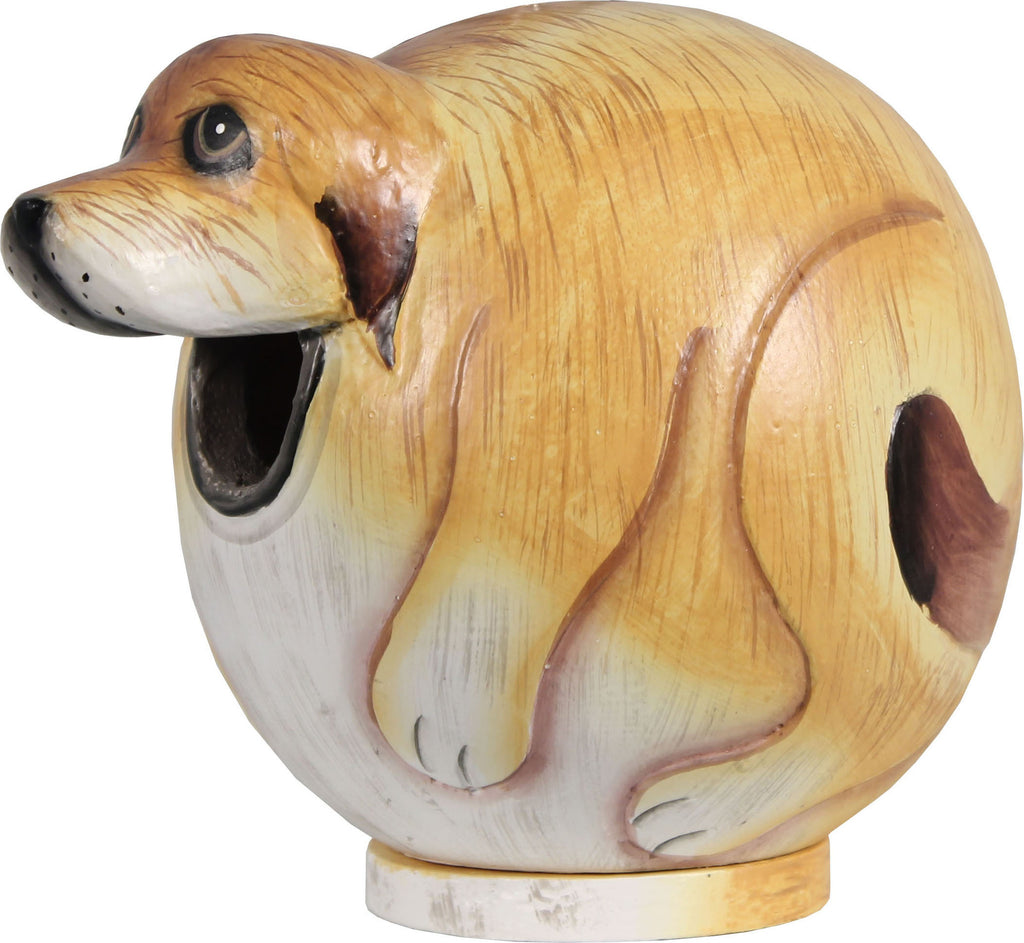 Songbird Essentials-Yellow Lab Gord-o Bird House