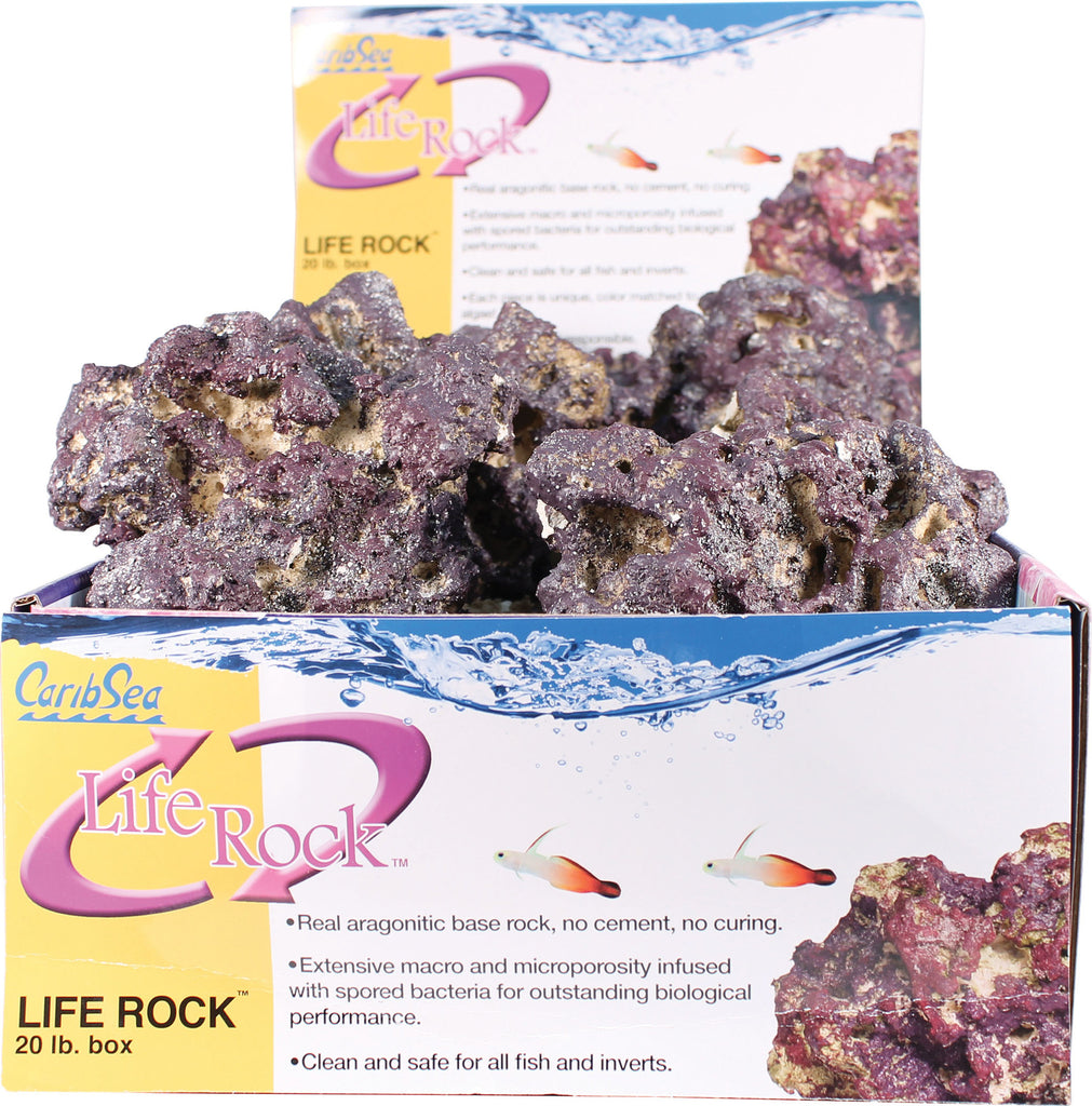 Caribsea Inc - Life Rock Display