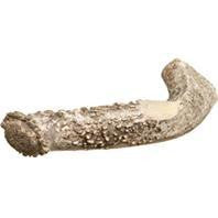 Redbarn Pet Products Inc - Solid Antler Dog Chew