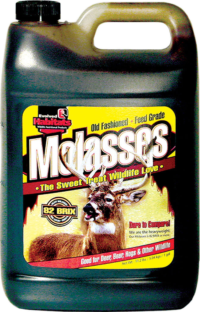 Evolved - Molasses Wildlife