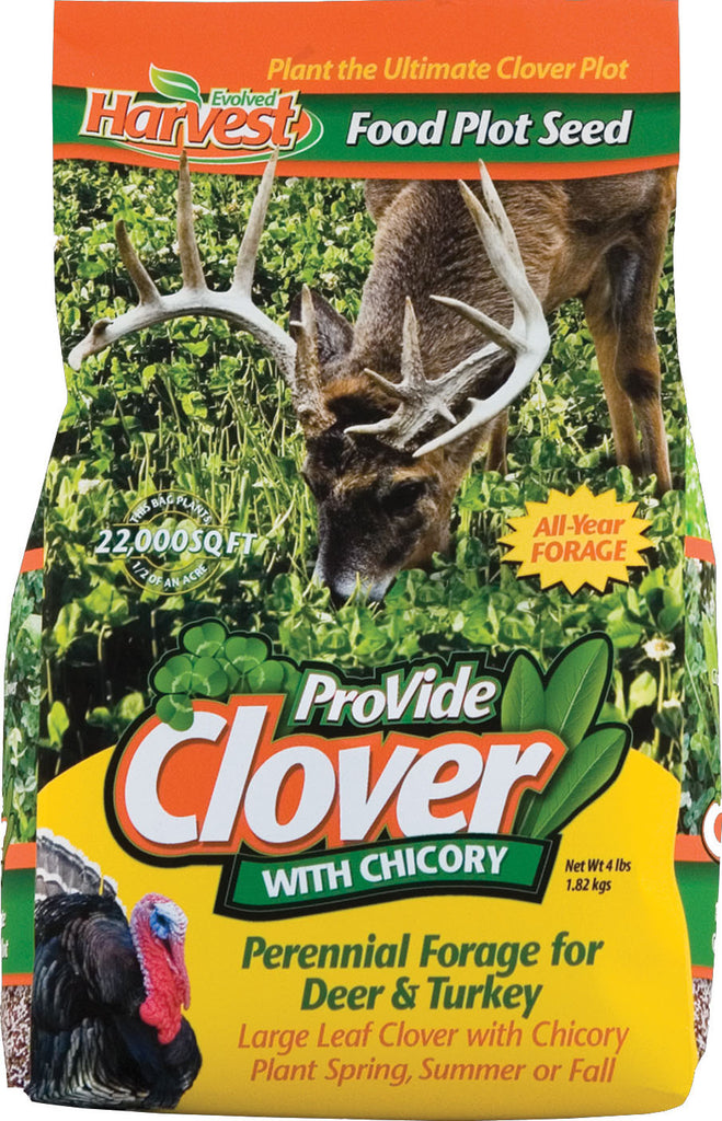 Evolved - Pro-vide Clover Chicory Forage