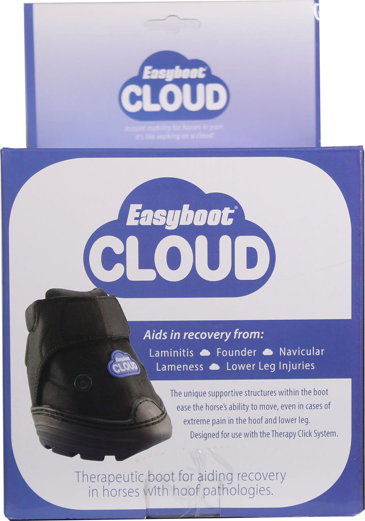 Easycare Inc. - Easyboot Cloud