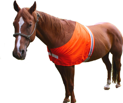 Dog Not Gone - Safety Horse Vest