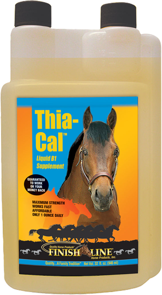 Finish Line - Thia-cal Liquid B1 Horse Supplement