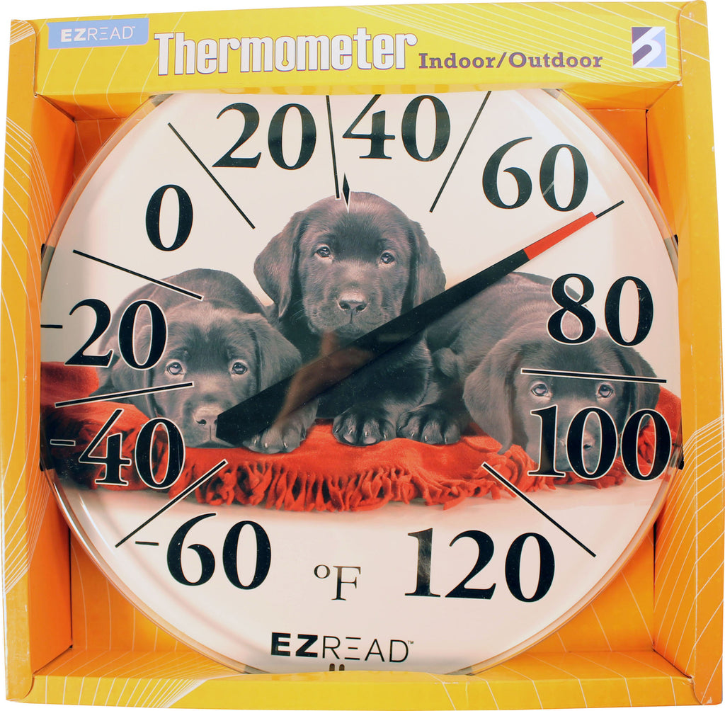 Headwind Consumer - Ezread Dial Thermometer Black Labs