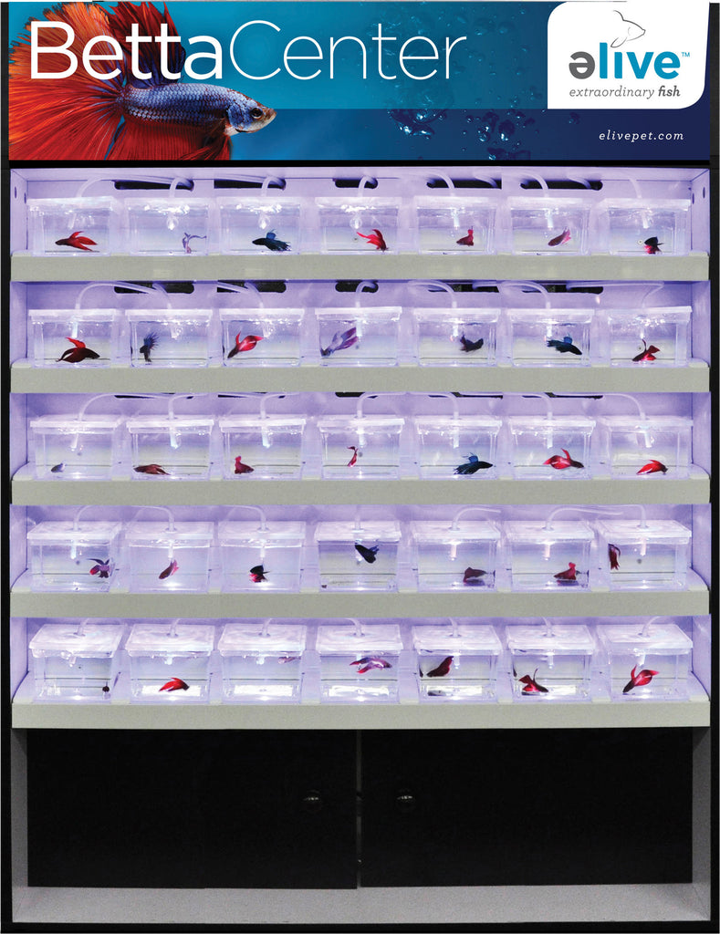 Elive Llc. - Betta Center Display 55 Cup