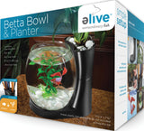 Elive Llc. - Betta Bowl And Planter