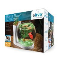 Elive Llc. - Betta Bowl And Planter