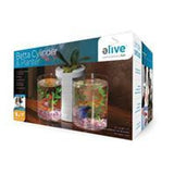 Elive Llc. - Betta Cylinder And Planter