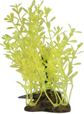 Elive Llc. - Glow Elements Lindernia Plant