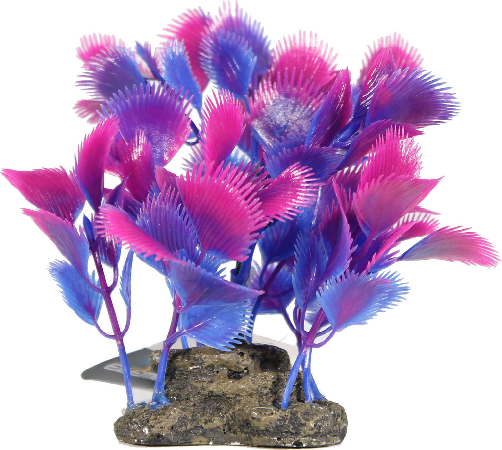 Elive Llc. - Glow Elements Pecten Plant