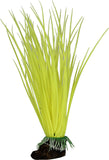 Elive Llc. - Glow Elements Hairgrass Plant