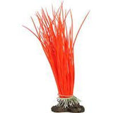 Elive Llc. - Glow Elements Hairgrass Plant