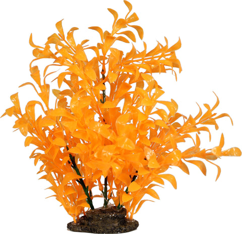 Elive Llc. - Glow Elements Ludwigia Plant