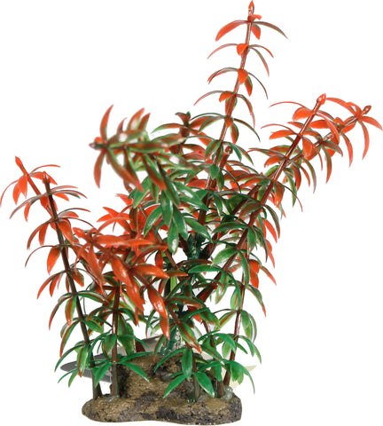 Elive Llc. - Natural Elements Rotala Plant