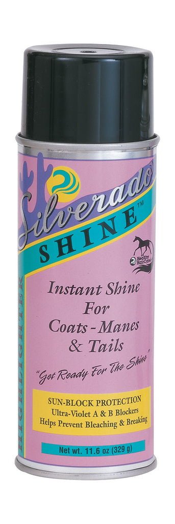 Healthy Haircare Product - Silverado Shine Aerosol