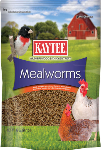 Kaytee Products - Poultry - Kt Mealworm Pouch Wb