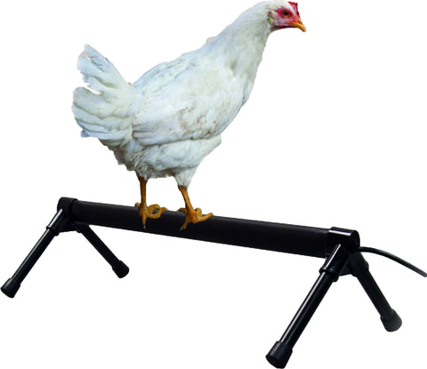 K&h Pet Products - Thermo-chicken Percher