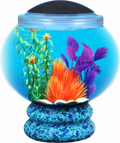 Kollercraft - Betta Pedestal Globe Led With Full Hood