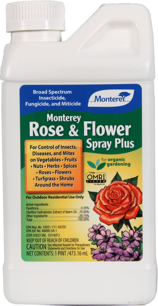 Monterey               P - Monterey Rose And Flower Spray Plus Concentrate