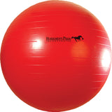 Horsemen's Pride Inc - Jolly Mega Ball For Equine