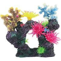 Poppy Pet - Coral Reef Formation