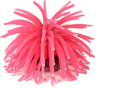 Poppy Pet - Sea Anemone