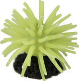 Poppy Pet - Sea Anemone