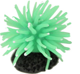 Poppy Pet - Sea Anemone