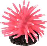 Poppy Pet - Sea Anemone